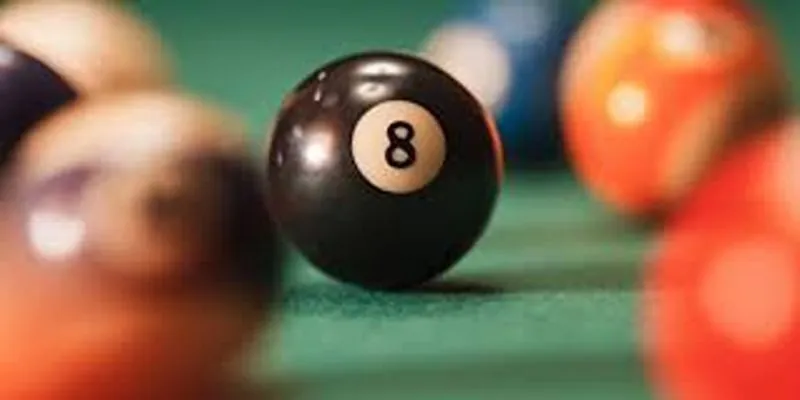 nuoi-dan-de-4